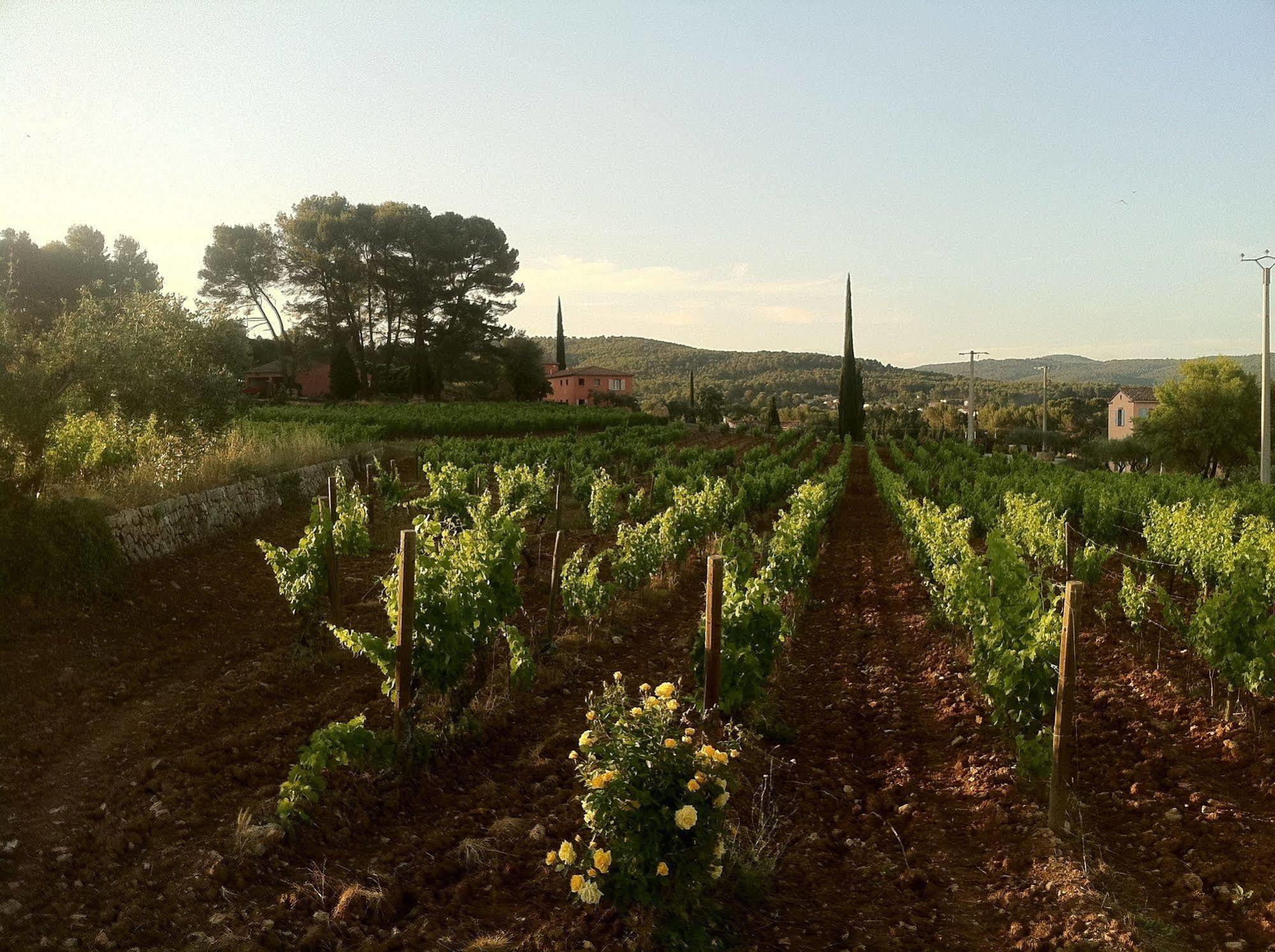 מלון Flayosc Domaine Rabiega מראה חיצוני תמונה